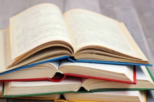 Blog 1- creado por el administrador Muestra en hOme